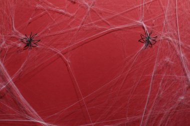 Kırmızı arkaplanda örümcek ağı ve örümcekler, üst görünüm