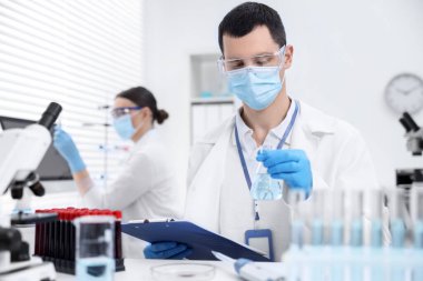 Laboratuvarda numunelerle çalışan bilim adamları. Tıbbi araştırma