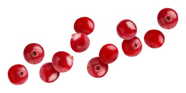 Beyaz arka planda uçuşan taze kırmızı kızılcıklar