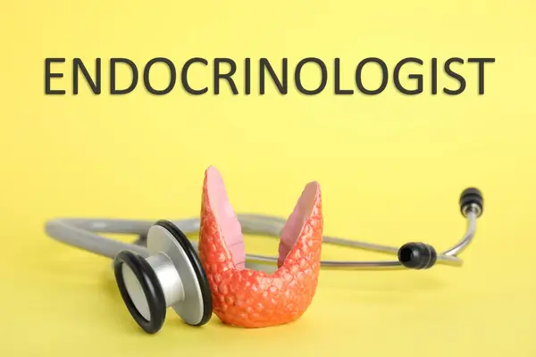 Endocrinologista Modelo Glândula Tireóide Estetoscópio Fundo Amarelo Close — Fotografia de Stock