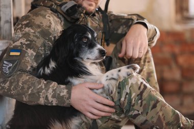 Terk edilmiş binada başıboş köpekle oturan Ukraynalı asker, yakın plan.