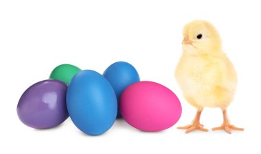 Mutlu Paskalyalar. Sevimli bir piliç ve beyaz üzerine izole edilmiş yumurtalar.