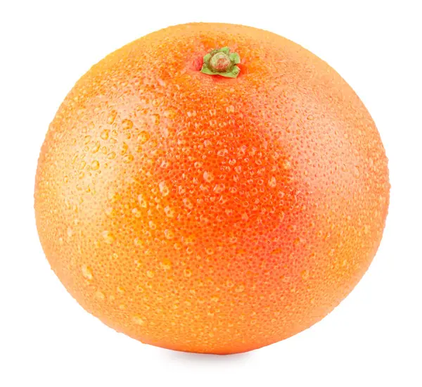 Verse Rijpe Grapefruit Met Water Druppels Geïsoleerd Wit Citrusvruchten — Stockfoto