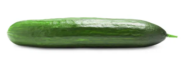 Een Lange Verse Komkommer Geïsoleerd Wit — Stockfoto