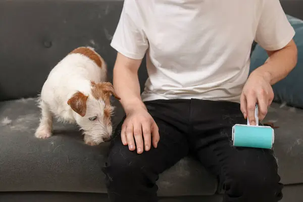 Pet Uitwerpen Man Met Pluisrol Verwijdert Hondenhaar Uit Broek Close — Stockfoto