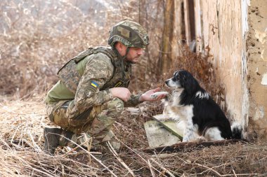 Sokak köpeği Ukraynalı askere patisini uzatıyor.