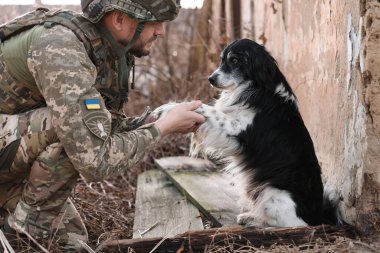 Sokak köpeği Ukraynalı askere patisini uzatıyor.