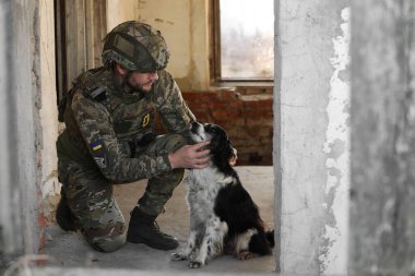 Terk edilmiş binada başıboş köpeği olan Ukraynalı asker.
