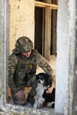 Terk edilmiş binada başıboş köpeği olan Ukraynalı asker.