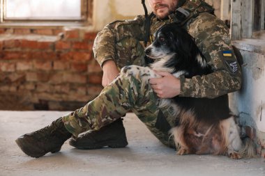 Terk edilmiş binada başıboş köpekle oturan Ukraynalı asker, yakın plan.