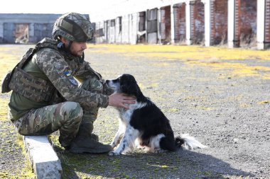 Güneşli bir günde başıboş köpeği olan Ukraynalı asker. Metin için boşluk