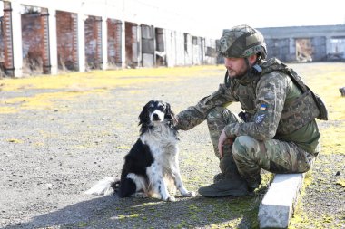 Güneşli bir günde başıboş köpeği olan Ukraynalı asker. Metin için boşluk