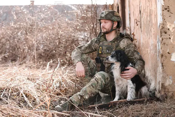 Ukrainian soldier with stray dog sitting outdoors. Space for text