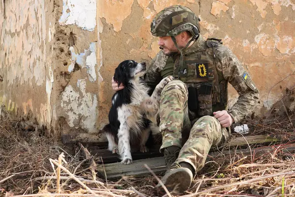 Ukrainian soldier with stray dog sitting outdoors