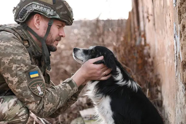 Ukraynalı asker korkmuş sokak köpeğini okşuyor.