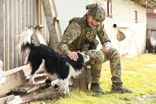 Ukrainian soldier petting stray dog outdoors on sunny day