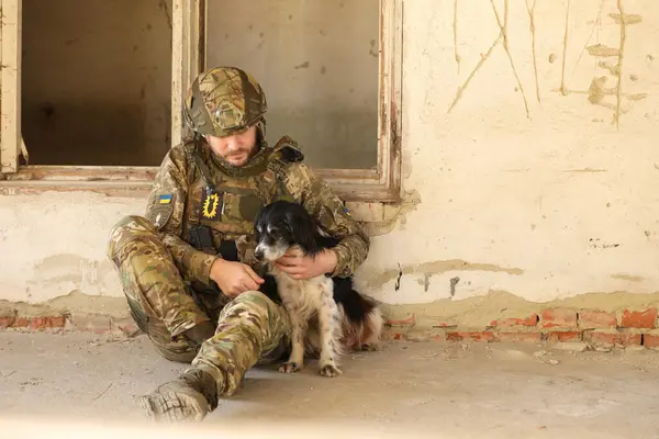 Ukrainian soldier sitting with stray dog in abandoned building. Space for text