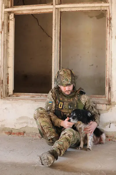 Ukrainian soldier sitting with stray dog in abandoned building