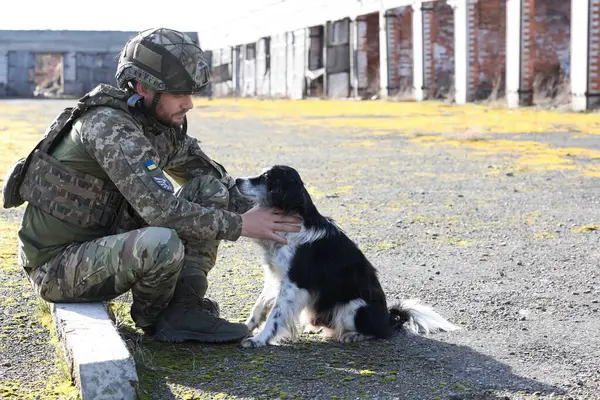 Ukrainian soldier with stray dog outdoors on sunny day. Space for text
