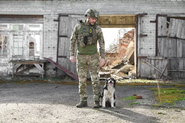 Ukrainian soldier with stray dog outdoors on sunny day