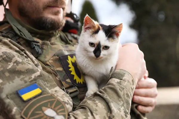 Ukrainian soldier with stray cat outdoors, closeup