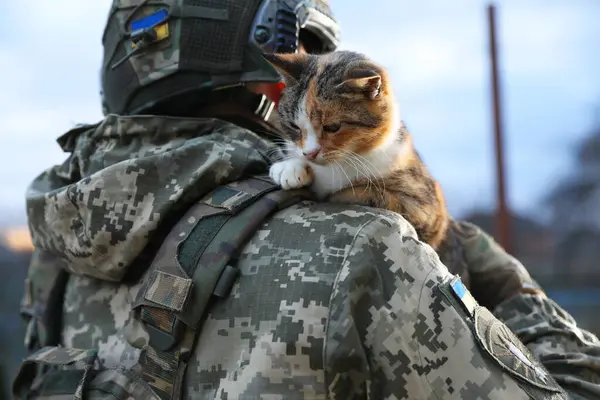 Little stray cat on Ukrainian soldier\'s shoulder outdoors, closeup