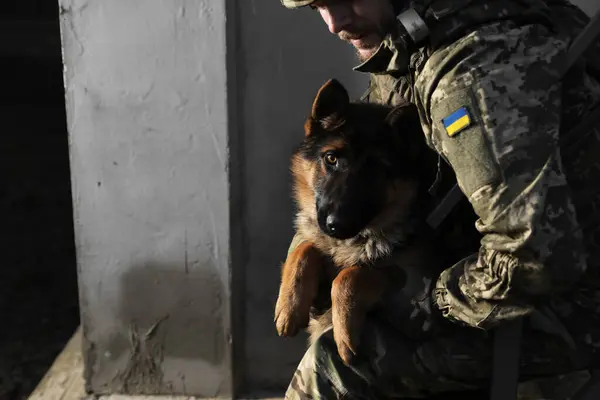 Ukrainian soldier with German shepherd dog near wall outdoors, closeup. Space for text