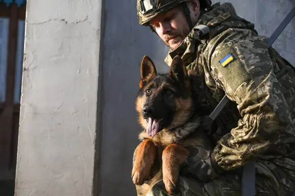 Ukrainian soldier with German shepherd dog outdoors. Space for text