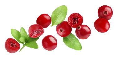 Taze kırmızı kızılcık ve yeşil yapraklar beyaz arka planda uçuşuyor.