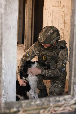 Terk edilmiş binada başıboş köpeği olan Ukraynalı asker.