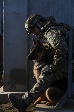 Alman çoban köpeği olan Ukraynalı asker dışarıda oturuyor.