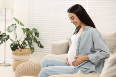 Evdeki koltukta mutlu hamile kadın, mesaj atmak için yer var.