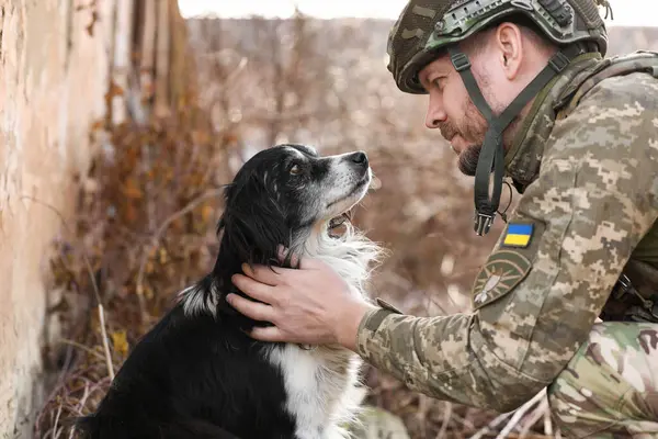 Ukrainian soldier petting frightened stray dog outdoors