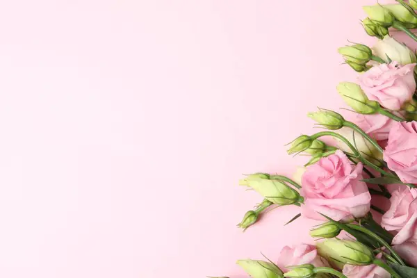 Feliz Dia Mãe Lindas Flores Fundo Rosa Flat Lay Espaço — Fotografia de Stock