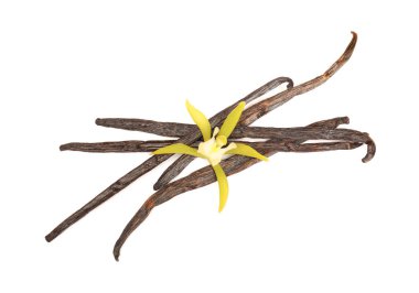 Aromatik vanilya kapsülleri ve beyaz manzarada izole edilmiş güzel çiçekler.