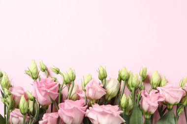 Anneler Günün kutlu olsun. Pembe arka planda güzel çiçekler, düz uzanmış. Metin için boşluk