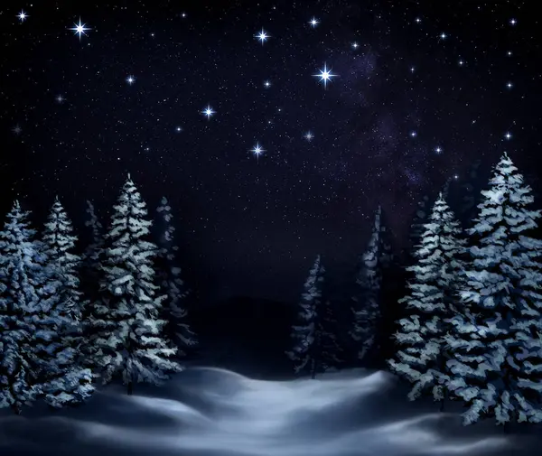 Picturesque Way Winter Forest Covered Snow Trees Starry Sky Night — Stock Photo, Image