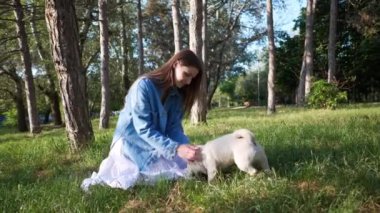 Mutlu genç bir kadın güneşli bir sabahta sevimli köpeğiyle parkta eğleniyor. Kamera hareket ediyor, yavaş çekim etkisi