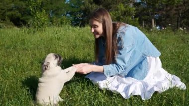 Yeşil çimenlerde sevimli köpeğiyle oynayan mutlu genç bir kadın. Kamera hareket ediyor