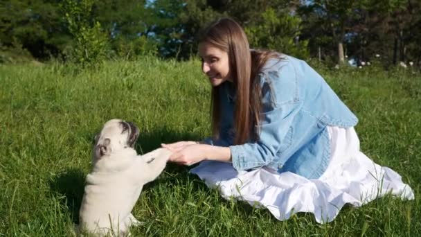 Wanita Muda Yang Bahagia Bermain Dengan Pug Lucu Rumput Hijau — Stok Video