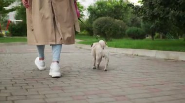 Çekici genç bir kadın parkta tatlı köpeğini okşayıp öpüyor, düşük açılı.