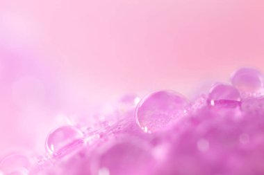 Bulanık arkaplanda su damlaları olan güzel çiçek, makro görünüm