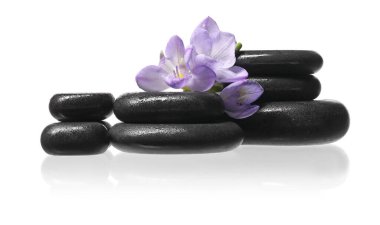 Güzel menekşe frezya çiçekleri ve beyaz üzerine izole edilmiş taşlar.