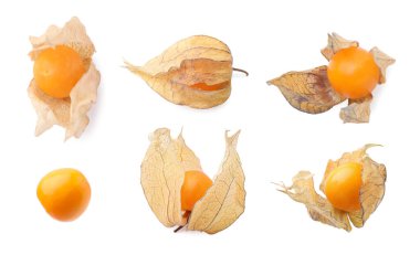 Olgun portakal suyu meyveleri ve beyaz üzerine izole edilmiş kaliks.