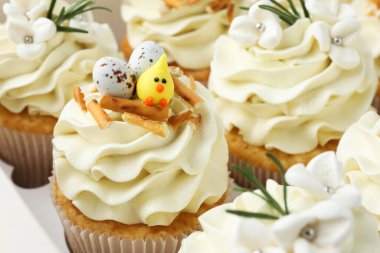 Kutusunda vanilya kremalı Paskalya kekleri, yakın plan.