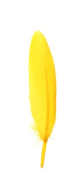 Fluffy beautiful yellow feather isolated on white
