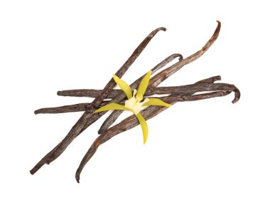 Aromatik vanilya kapsülleri ve beyaz manzarada izole edilmiş güzel çiçekler.