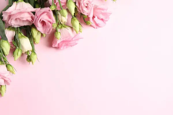 Feliz Dia Mãe Lindas Flores Fundo Rosa Flat Lay Espaço — Fotografia de Stock