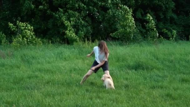 Γυναίκα Χαριτωμένο Σκυλί Της Παίζει Στο Πράσινο Γρασίδι Στο Πάρκο — Αρχείο Βίντεο