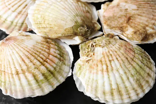 Fresh raw scallops in shells on black table, closeup